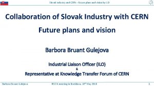 Slovak Industry and CERN future plans and vision
