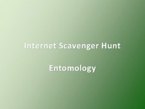 Internet Scavenger Hunt Entomology Name the 3 body