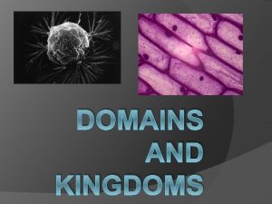 DOMAINS AND KINGDOMS 3 Domains Everything that is