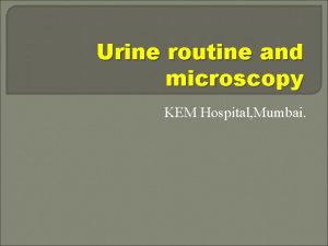 Urine routine and microscopy KEM Hospital Mumbai Urinanalysis