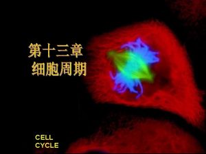 http www cella cn CELL CYCLE Eucaryotic Cell