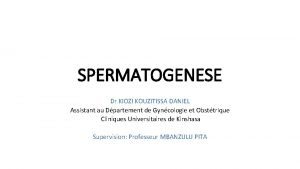 SPERMATOGENESE Dr KIOZI KOUZITISSA DANIEL Assistant au Dpartement