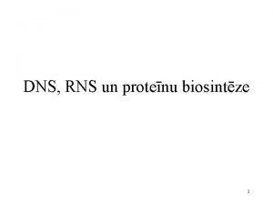 DNS RNS un protenu biosintze 1 Trs galvenie