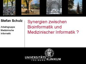 Stefan Schulz Arbeitsgruppe Medizinische Informatik Synergien zwischen Bioinformatik