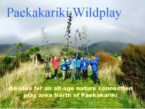 Paekakariki Wildplay An idea for an allage nature