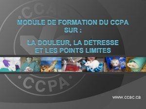 MODULE DE FORMATION DU CCPA SUR LA DOULEUR