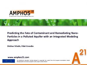 Predicting the Fate of Contaminant and Remediating Nano