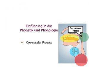 Einfhrung in die Phonetik und Phonologie Oronasaler Prozess