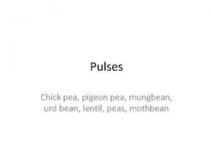 Pulses Chick pea pigeon pea mungbean urd bean