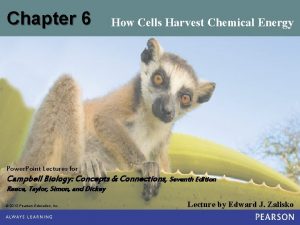 Chapter 6 How Cells Harvest Chemical Energy Power