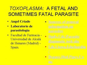 TOXOPLASMA A FETAL AND SOMETIMES FATAL PARASITE Angel