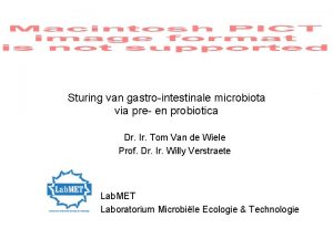 Sturing van gastrointestinale microbiota via pre en probiotica