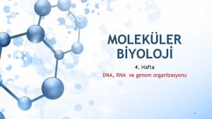 MOLEKLER BYOLOJ 4 Hafta DNA RNA ve genom