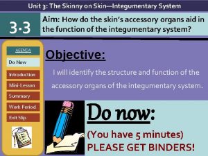 Unit 3 The Skinny on SkinIntegumentary System 3