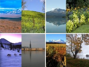 Seasonal Weather Investigations Kenai Peninsula Alaska and Bordeaux