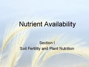 Nutrient Availability Section I Soil Fertility and Plant