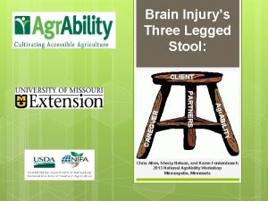 Brain Injurys Three Legged Stool Y EGV CAR