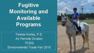 Fugitive Monitoring and Available Programs Teresa Hurley P