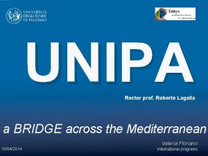 UNIPA Rector prof Roberto Lagalla a BRIDGE across