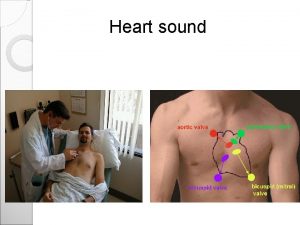 Heart sound Area Of Auscultation Area Of Auscultation