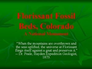 Florissant Fossil Beds Colorado A National Monument When