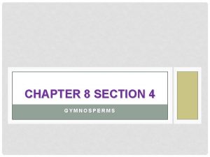 CHAPTER 8 SECTION 4 GYMNOSPERMS GYMNOSPERMS A seed