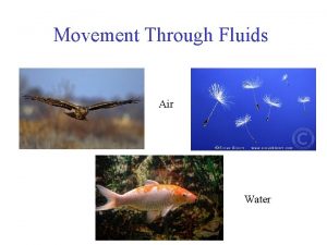 Movement Through Fluids Air Water Movement Through Air