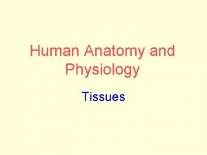 Human Anatomy and Physiology Tissues Tissues group of