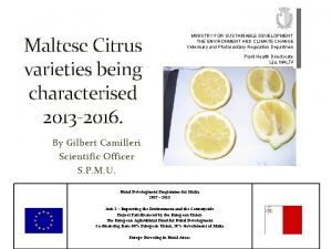 Maltese Citrus varieties being characterised 2013 2016 MINISTRY