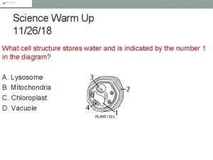 Science Warm Up 112618 What cell structure stores