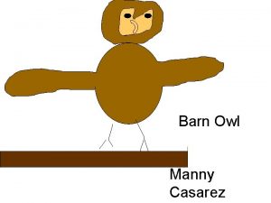 Barn Owl Manny Casarez Description Source 4 New