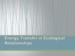 Energy Transfer in Ecological Relationships Introduction Energy transfers