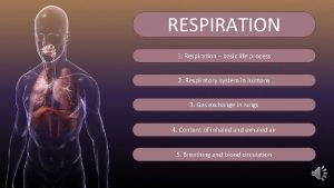 RESPIRATION 1 Respiration basic life process 2 Respiratory