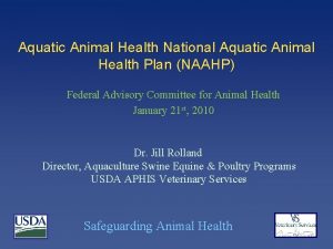 Aquatic Animal Health National Aquatic Animal Health Plan
