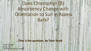 Does Chlorophyll Absorbency Change with Orientation to Sun