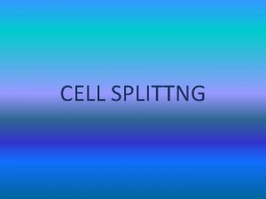 CELL SPLITTNG CELL SPLITTING The process of subdividing