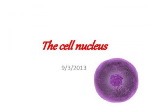 The cell nucleus 932013 Definition The nucleus is