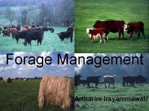 Forage Management Artharini Irsyammawati Manajemen Budidaya Pakan Ternak