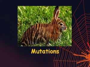 Mutations What Are Mutations Changes in the nucleotide