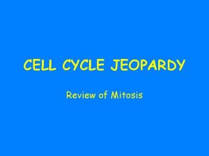 CELL CYCLE JEOPARDY Review of Mitosis Prophase Metaphase