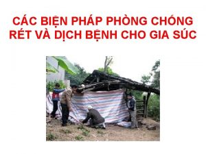 CC BIN PHP PHNG CHNG RT V DCH