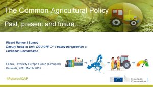 The Common Agricultural Policy Past present and future