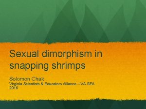 Sexual dimorphism in snapping shrimps Solomon Chak Virginia