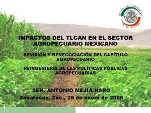 IMPACTOS DEL TLCAN EN EL SECTOR AGROPECUARIO MEXICANO