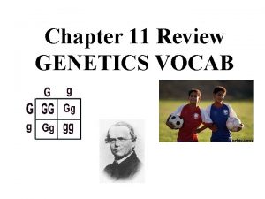 Chapter 11 Review GENETICS VOCAB Heterozygous person who
