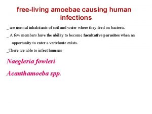 freeliving amoebae causing human infections are normal inhabitants