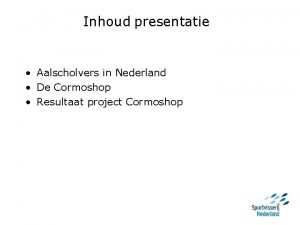 Inhoud presentatie Aalscholvers in Nederland De Cormoshop Resultaat