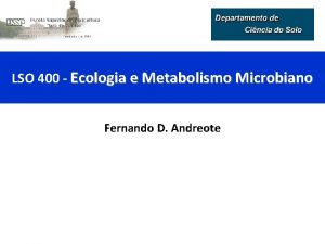 LSO 400 Ecologia e Metabolismo Microbiano Fernando D