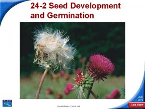 24 2 Seed Development and Germination Slide 1