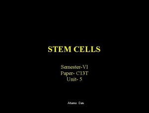 STEM CELLS SemesterVI Paper C 13 T Unit